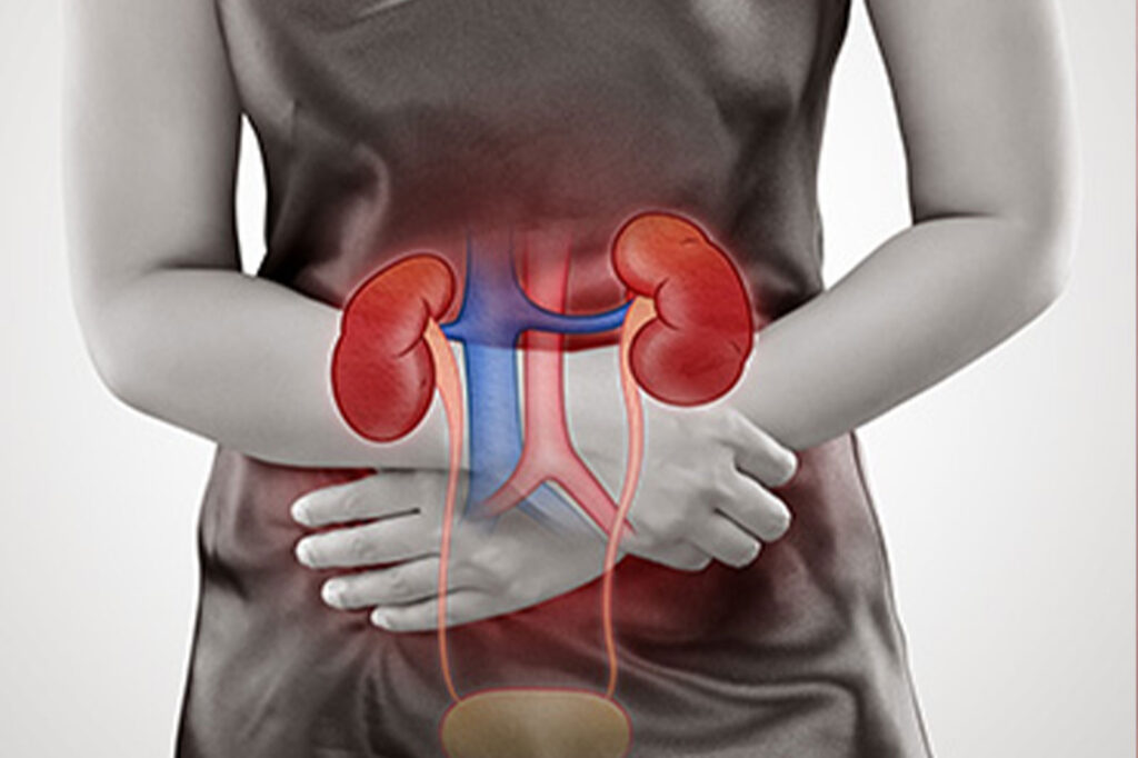 自覚症状の少ない慢性腎臓病
症状なく進行。健診での早期発見が重要