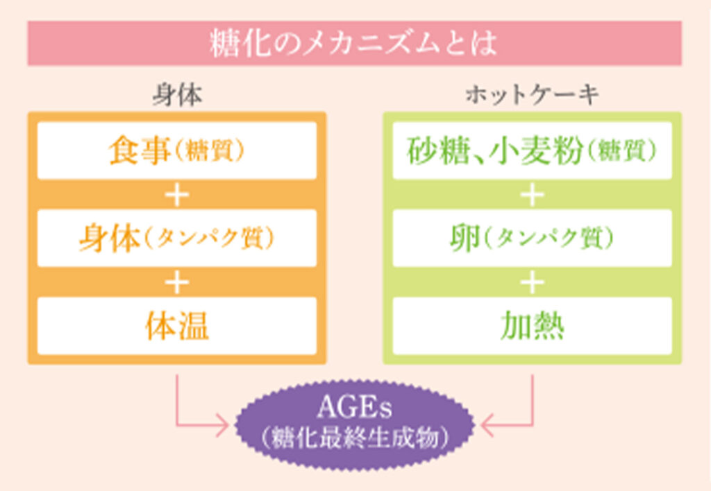 エイジマネジメントのための検査
糖化・ストレス・ミネラルを検査