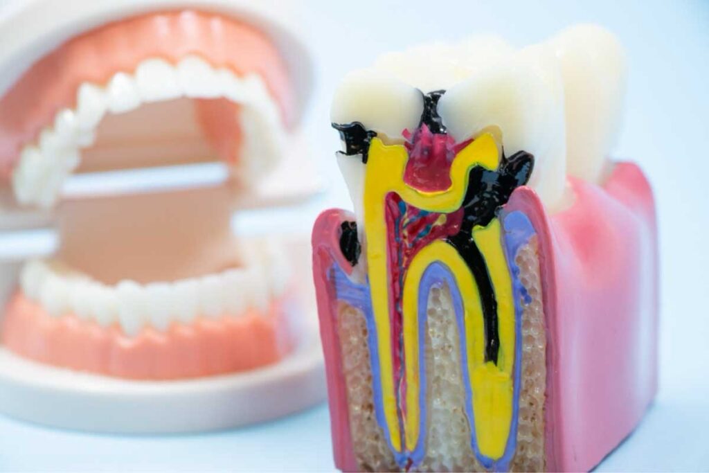 マイクロスコープを駆使して正しい診断・治療を
できるだけ患者さま自身の歯を残すために