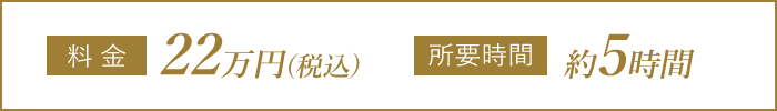 【料金】22万円、 【所要時間】約5時間