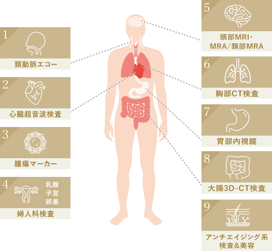 【主な検査部位】頚動脈エコー、心臓超音波検査、腫瘍マーカー、婦人科検査、頭部MRI・MRA/頚部MRA、胸部CT検査、胃部内視鏡、大腸3D-CT検査、アンチエイジング系検査＆美容